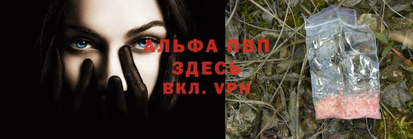 гашик Белоозёрский
