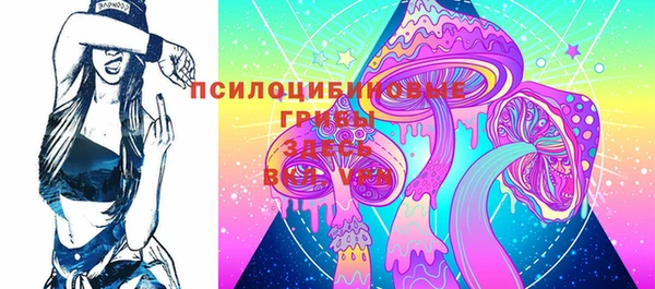 гашик Белоозёрский