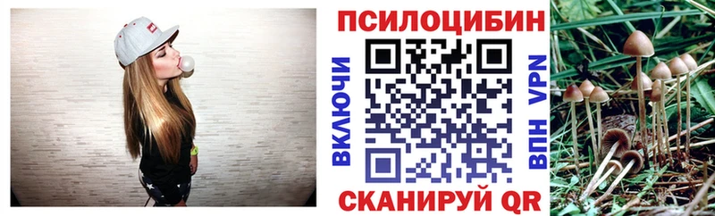 Псилоцибиновые грибы Cubensis  блэк спрут как войти  Светлый 